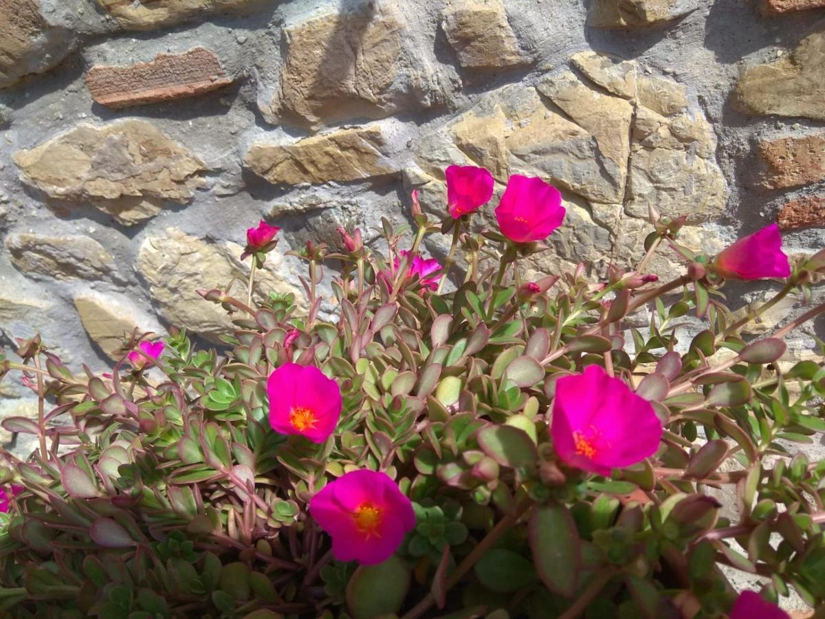 Bed and Breakfast La Magnolia Greve in Chianti Exterior foto