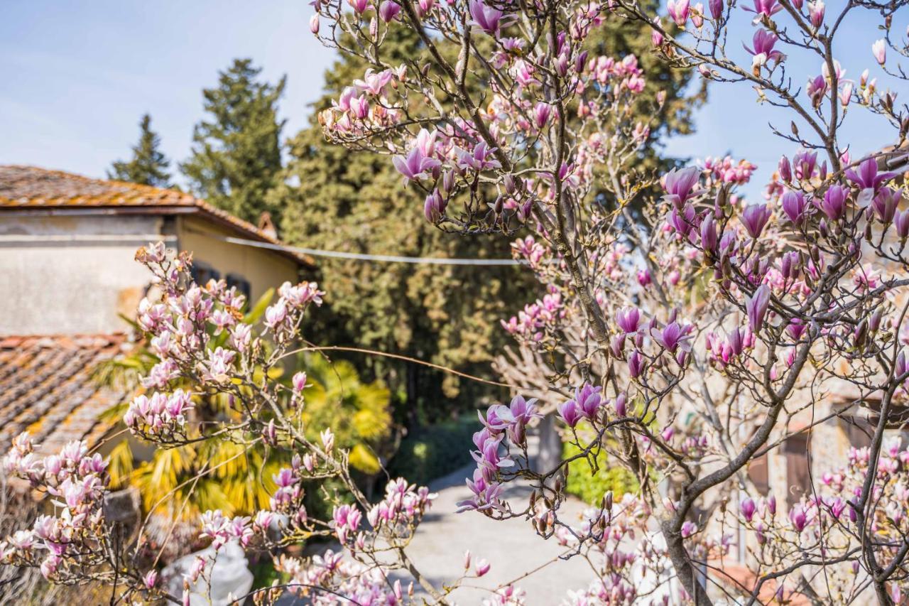 Bed and Breakfast La Magnolia Greve in Chianti Exterior foto